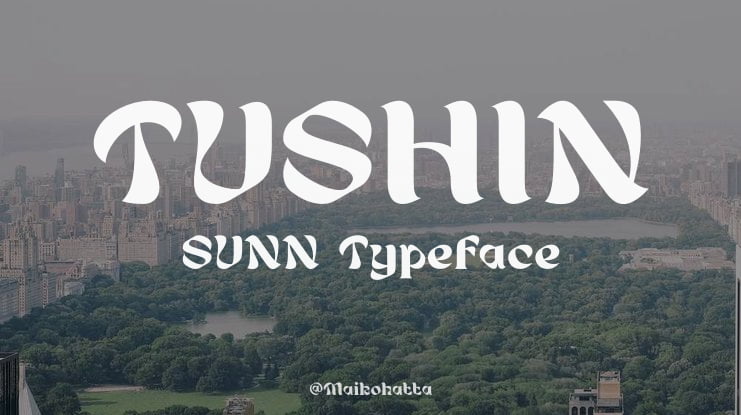 TUSHIN SUNN Font