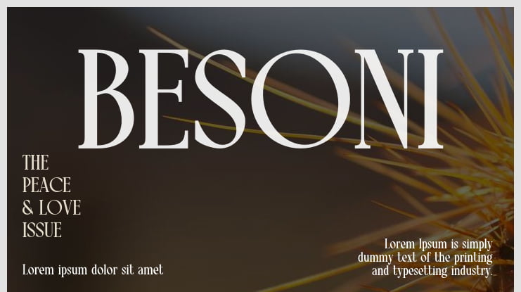 BESONI Font