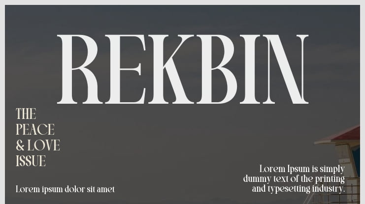 REKBIN Font