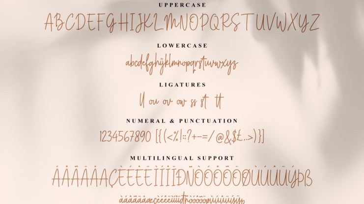 Youth Syndicate Font