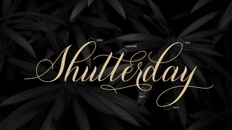 Shutterday Font