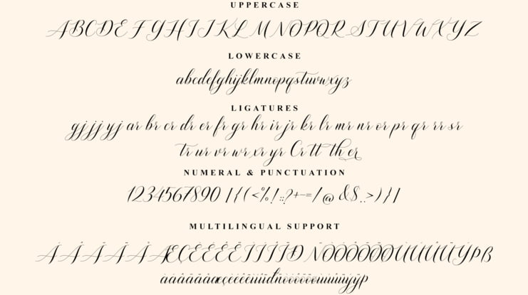 Shutterday Font