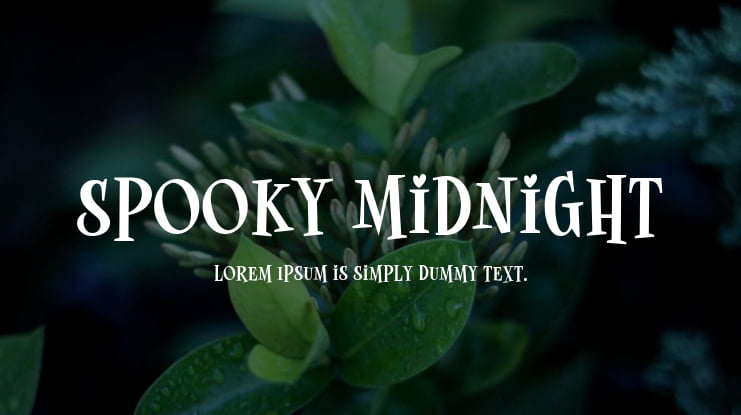 Spooky Midnight Font