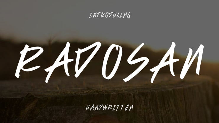 RADOSAN Font