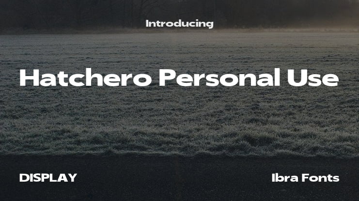 Hatchero Personal Use Font