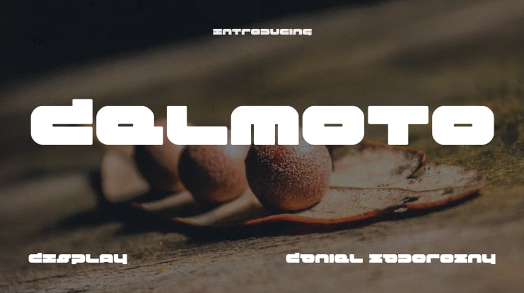 Delmoto Font Family