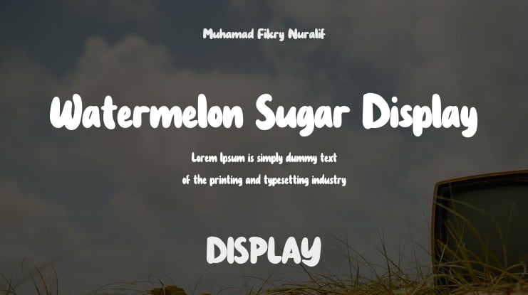 Watermelon Sugar Display Font