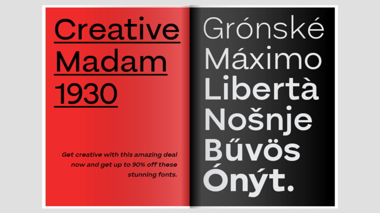 Bornia Sans Font Family