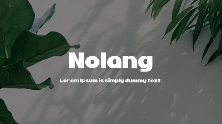 Nolang Font