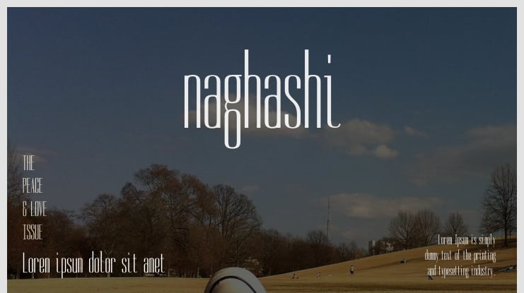 naghashi Font Family