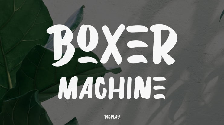 Boxer Machine Font