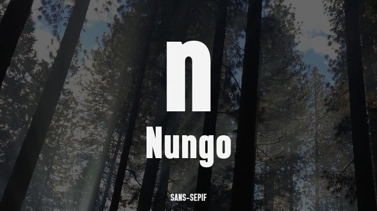 n Nungo Font