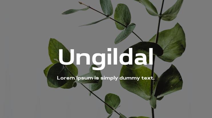 Ungildal Font Family