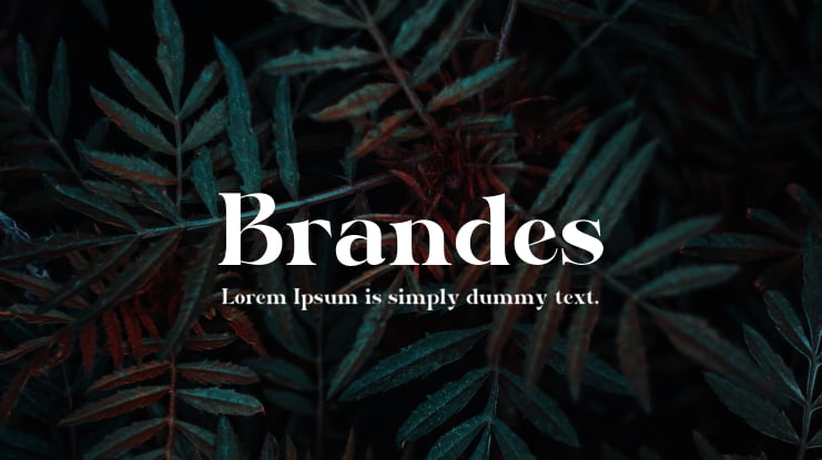 Brandes Font