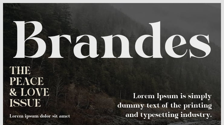 Brandes Font