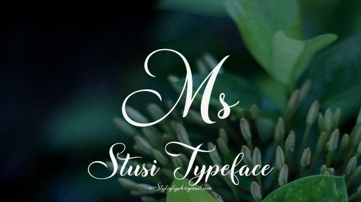 Ms Stusi Font