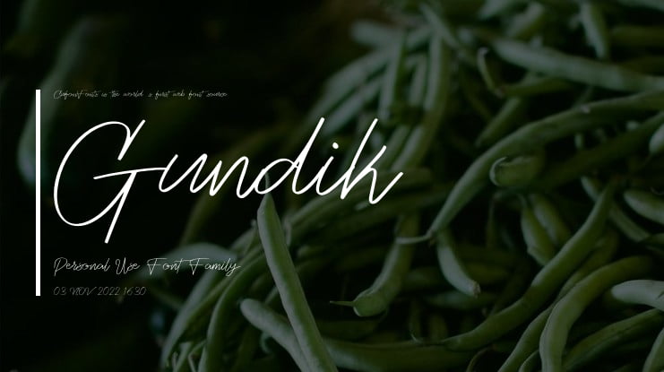 Gundik Personal Use Font