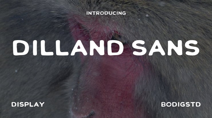 Dilland Sans Font Family