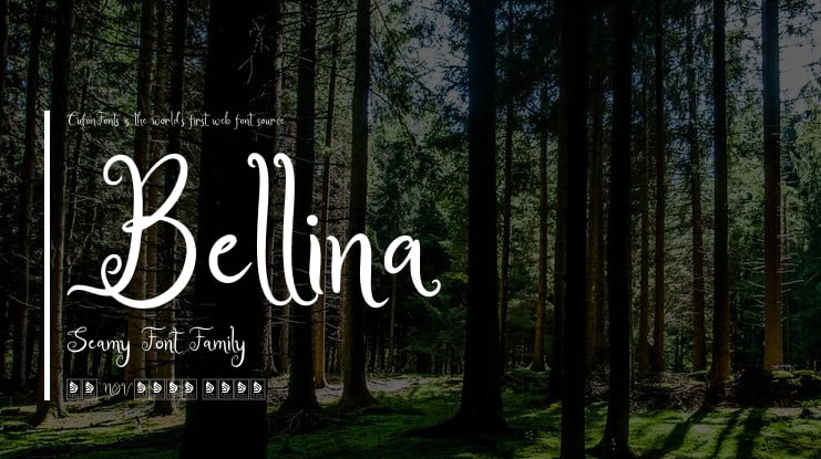 Bellina Seamy Font