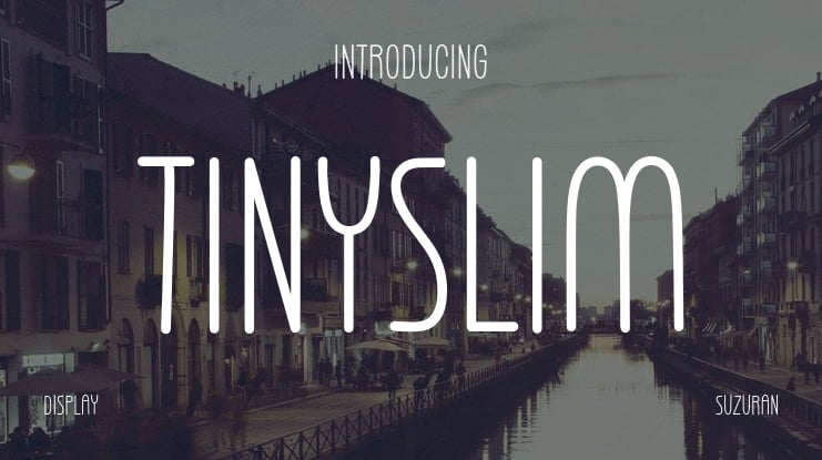 Tinyslim Font