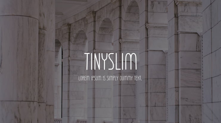 Tinyslim Font