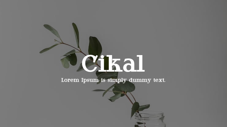 Cikal Font