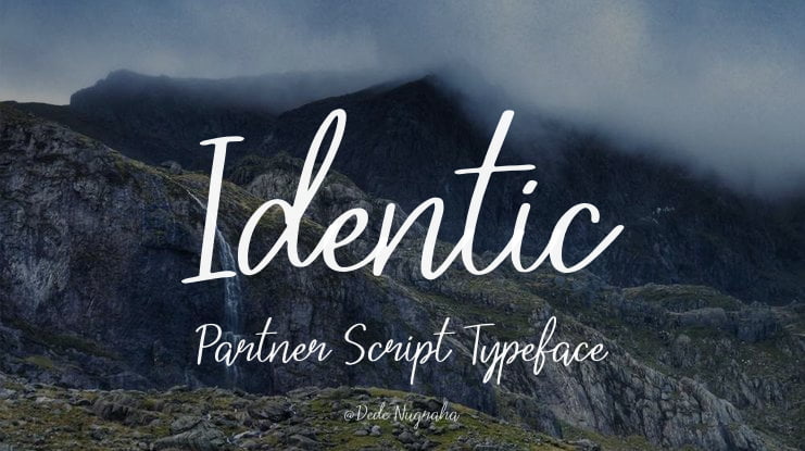 Identic Partner Script Font Family