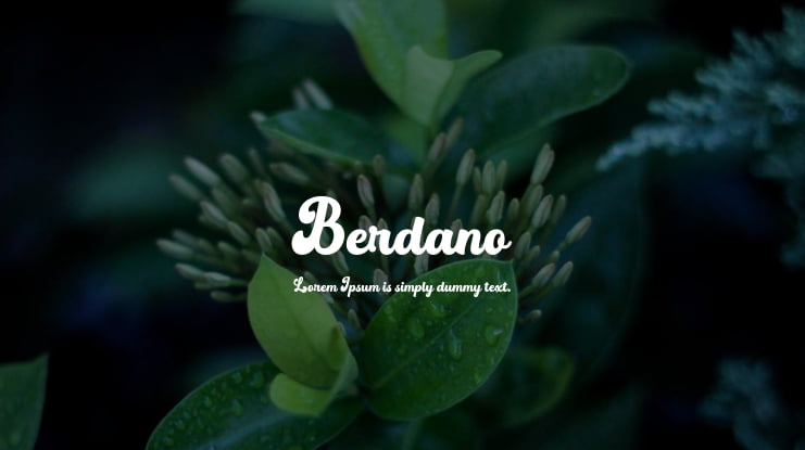 Berdano Font