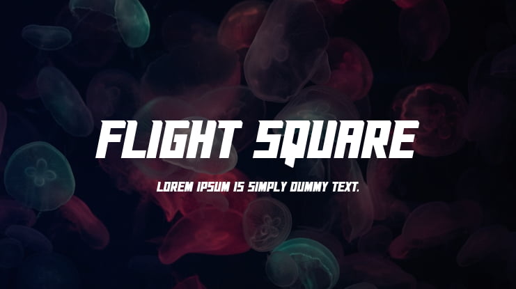 Flight Square Font