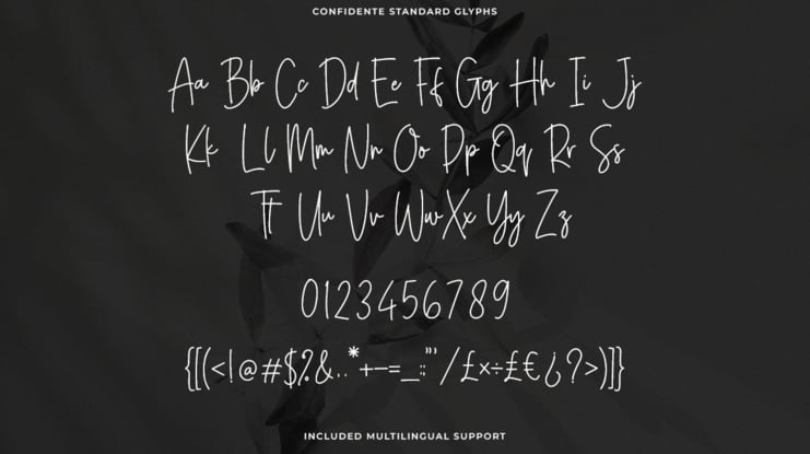 Confidente Font