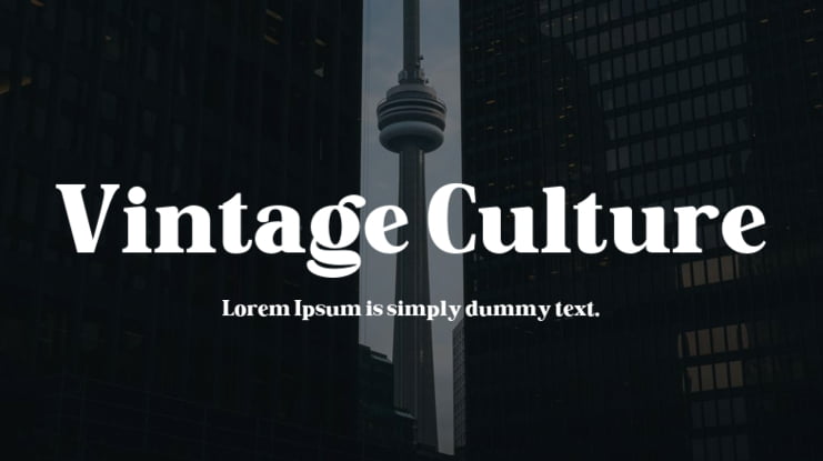 Vintage Culture Font