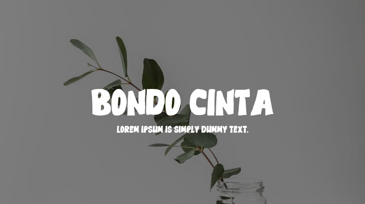 BONDO CINTA Font