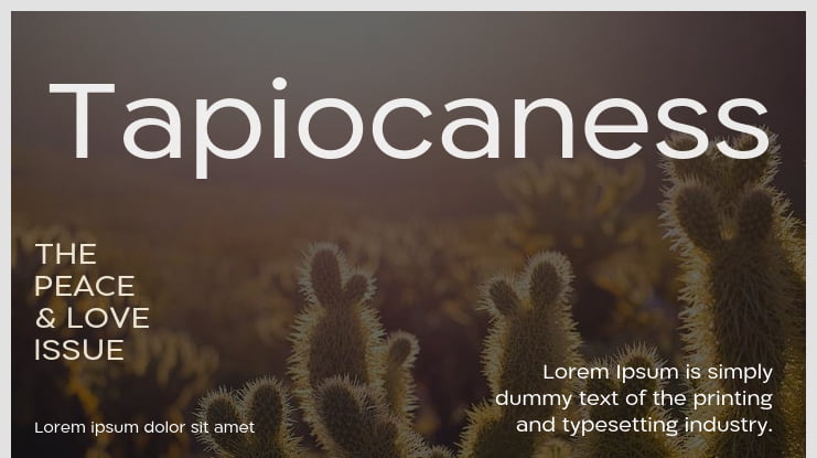 Tapiocaness Font Family