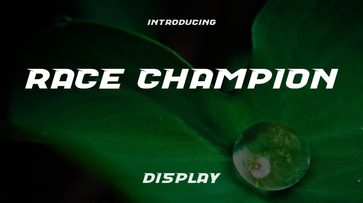 Race Champion Font