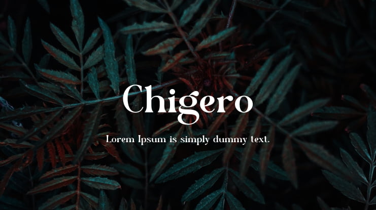 Chigero Font