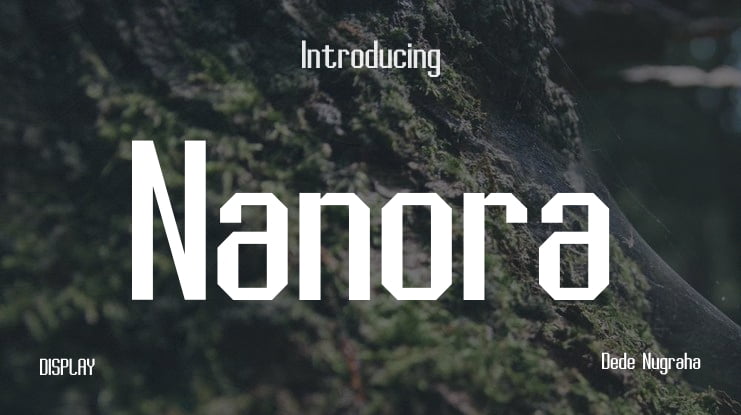 Nanora Font