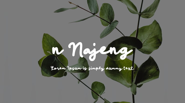 n Najeng Font