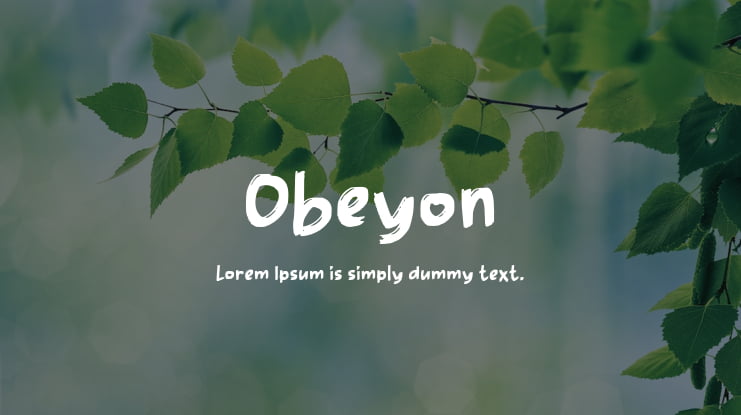 Obeyon Font