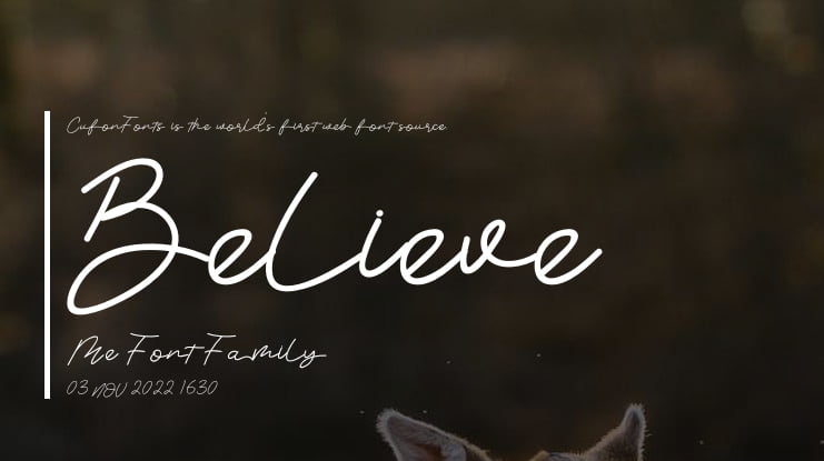 Believe Me Font