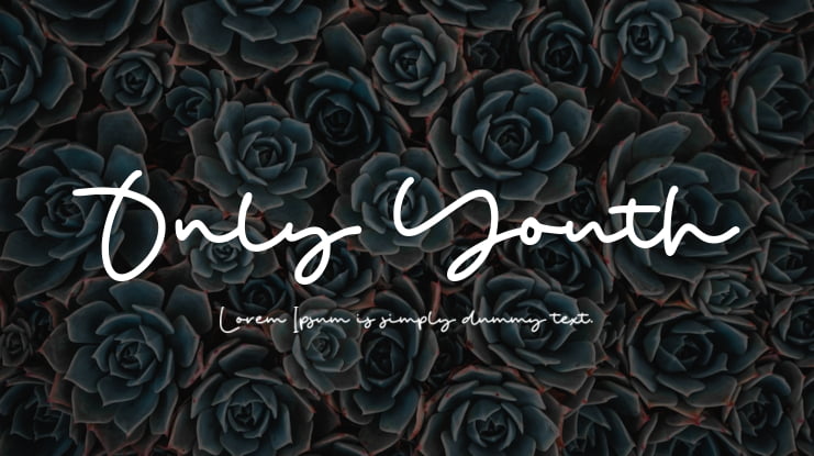 Only Youth Font