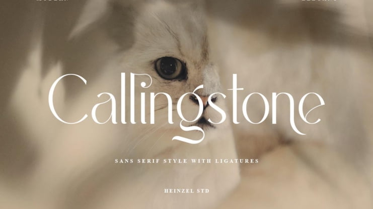 Callingstone Font