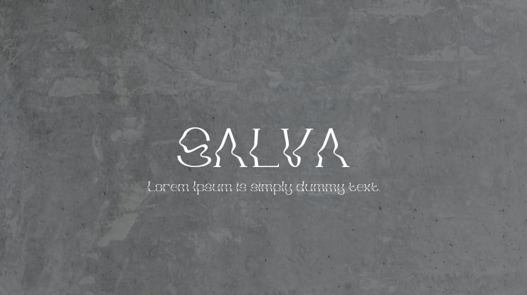 SALVA Font