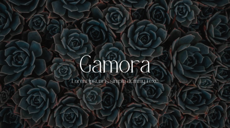 Gamora Font