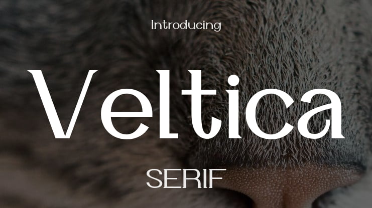 Veltica Font Family