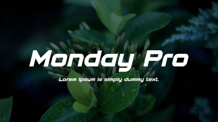 Monday Pro Font