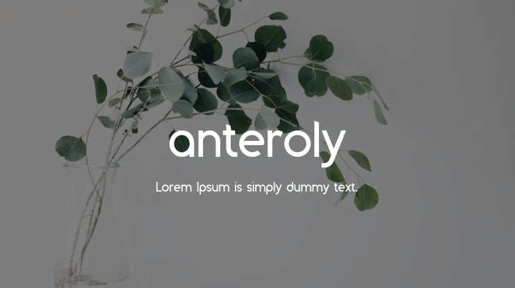 anteroly Font