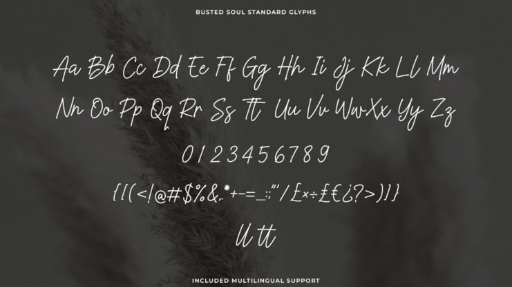 Busted Soul Font