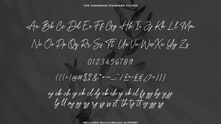 The Chairman Font