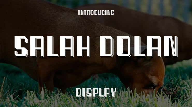 Salah Dolan Font