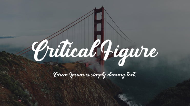 Critical Figure Font